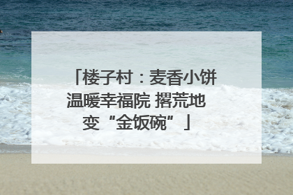 楼子村：麦香小饼温暖幸福院 撂荒地变“金饭碗”