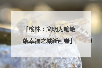 榆林：文明为笔绘就幸福之城新画卷