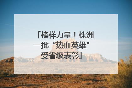 榜样力量！株洲一批“热血英雄”受省级表彰