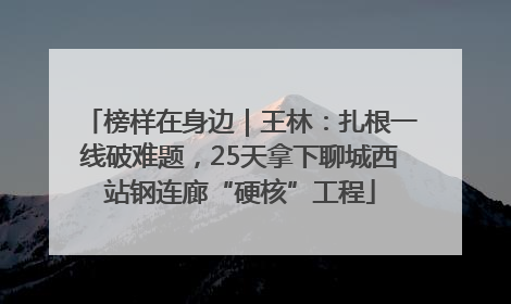 榜样在身边｜王林：扎根一线破难题，25天拿下聊城西站钢连廊“硬核”工程