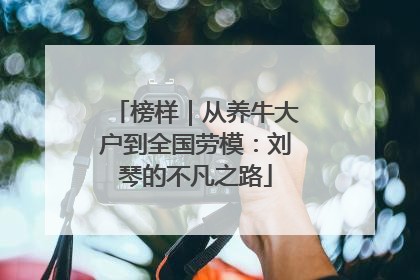 榜样｜从养牛大户到全国劳模：刘琴的不凡之路