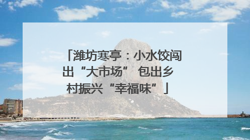 潍坊寒亭：小水饺闯出“大市场” 包出乡村振兴“幸福味”