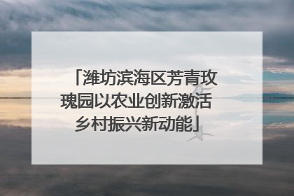 潍坊滨海区芳青玫瑰园以农业创新激活乡村振兴新动能
