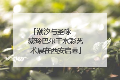 潮汐与圣咏——黎玲巴尔干水彩艺术展在西安启幕