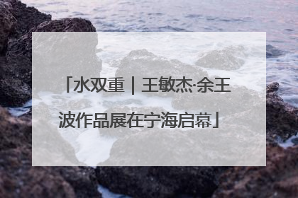 水双重｜王敏杰·余王波作品展在宁海启幕