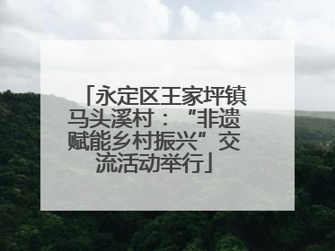 永定区王家坪镇马头溪村：“非遗赋能乡村振兴”交流活动举行