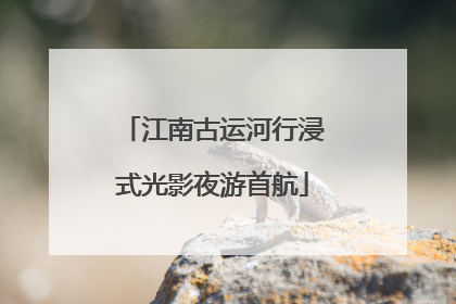 江南古运河行浸式光影夜游首航