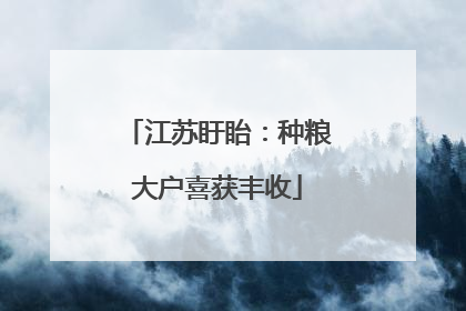 江苏盱眙：种粮大户喜获丰收