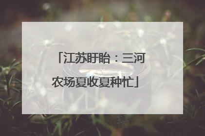 江苏盱眙：三河农场夏收夏种忙