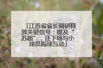 江苏省省长调研释放关键信号：提及“苏超”，还下场与小球员踢球互动