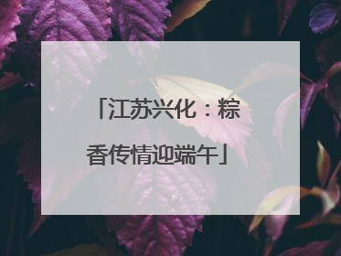 江苏兴化：粽香传情迎端午