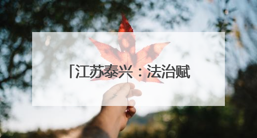江苏泰兴：法治赋能“云端经济”，构建电商产业全链条法律服务体系