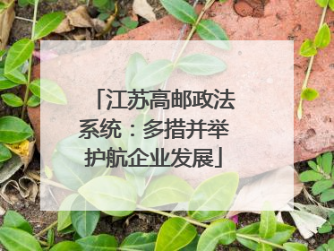 江苏高邮政法系统：多措并举护航企业发展