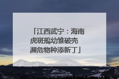 江西武宁：海南虎斑鳽幼雏破壳 濒危物种添新丁