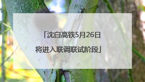沈白高铁5月26日将进入联调联试阶段