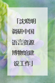 沈晓明调研中国语言资源博物馆建设工作
