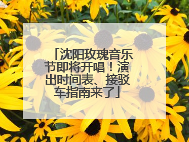 沈阳玫瑰音乐节即将开唱！演出时间表、接驳车指南来了