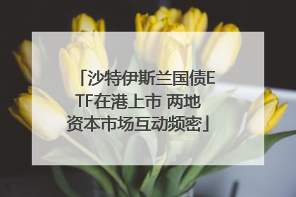 沙特伊斯兰国债ETF在港上市 两地资本市场互动频密