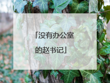 没有办公室的赵书记
