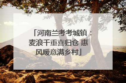 河南兰考考城镇：麦浪千重喜归仓 惠风暖意满乡村