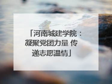 河南城建学院：凝聚党团力量 传递志愿温情