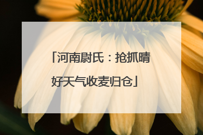 河南尉氏：抢抓晴好天气收麦归仓