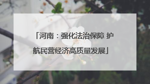 河南：强化法治保障 护航民营经济高质量发展
