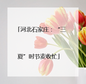 河北石家庄：“三夏”时节麦收忙