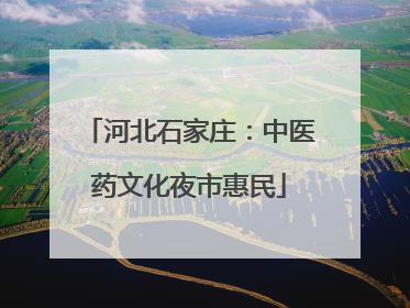 河北石家庄：中医药文化夜市惠民