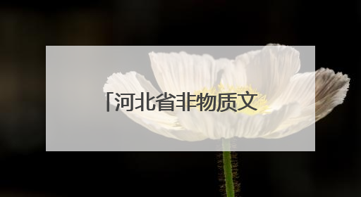 河北省非物质文化遗产保护协会成立 凝聚合力守护文化根脉