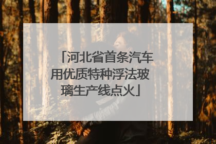 河北省首条汽车用优质特种浮法玻璃生产线点火