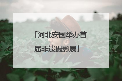河北安国举办首届非遗摄影展