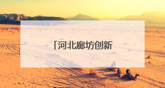 河北廊坊创新机制——优环境解难题促发展