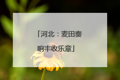 河北：麦田奏响丰收乐章