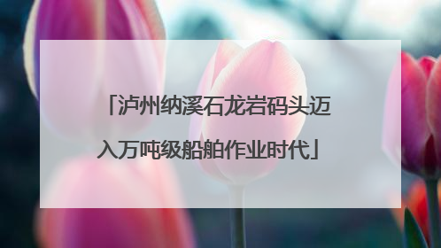泸州纳溪石龙岩码头迈入万吨级船舶作业时代