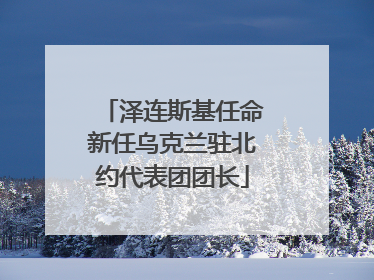 泽连斯基任命新任乌克兰驻北约代表团团长