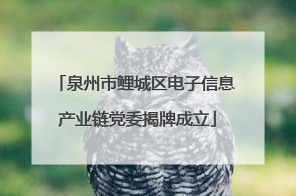 泉州市鲤城区电子信息产业链党委揭牌成立