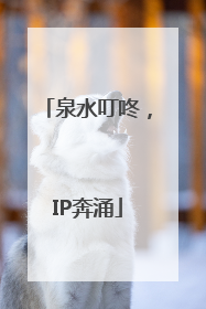 泉水叮咚，IP奔涌