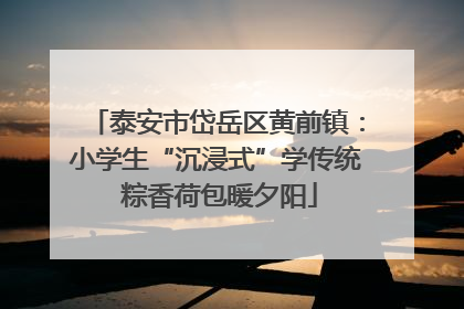 泰安市岱岳区黄前镇：小学生“沉浸式”学传统 粽香荷包暖夕阳