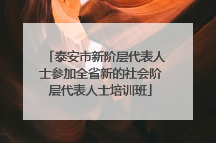 泰安市新阶层代表人士参加全省新的社会阶层代表人士培训班