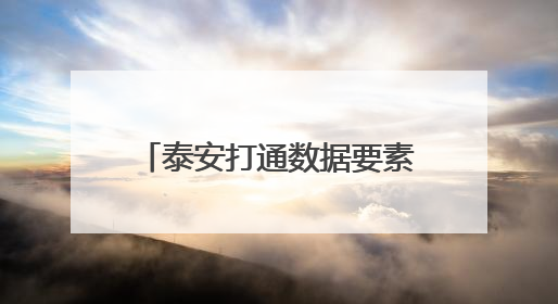 泰安打通数据要素价值化全链路径 典型案例亮相第七届数字中国建设峰会