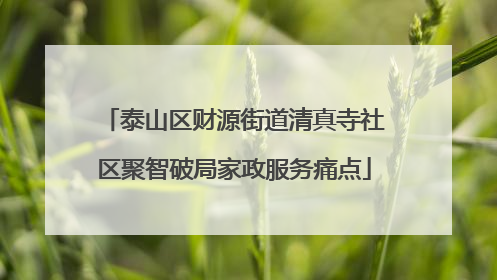 泰山区财源街道清真寺社区聚智破局家政服务痛点