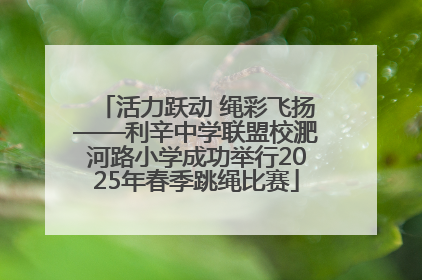 活力跃动 绳彩飞扬——利辛中学联盟校淝河路小学成功举行2025年春季跳绳比赛