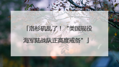 洛杉矶乱了！“美国现役海军陆战队正高度戒备”