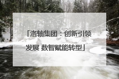 洛轴集团：创新引领发展 数智赋能转型