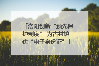 洛阳创新“预先保护制度” 为古村镇建“电子身份证”