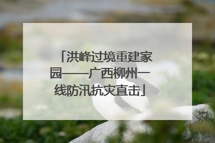 洪峰过境重建家园——广西柳州一线防汛抗灾直击