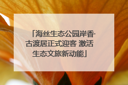 海丝生态公园岸香·古渡居正式迎客 激活生态文旅新动能