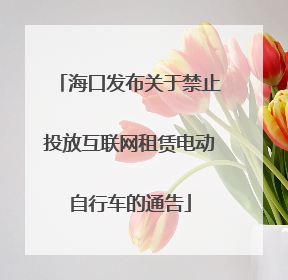 海口发布关于禁止投放互联网租赁电动自行车的通告