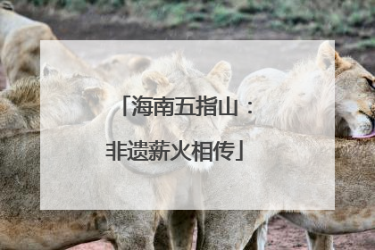 海南五指山：非遗薪火相传